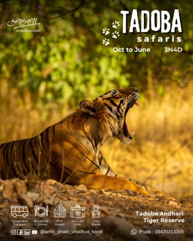 Tadoba